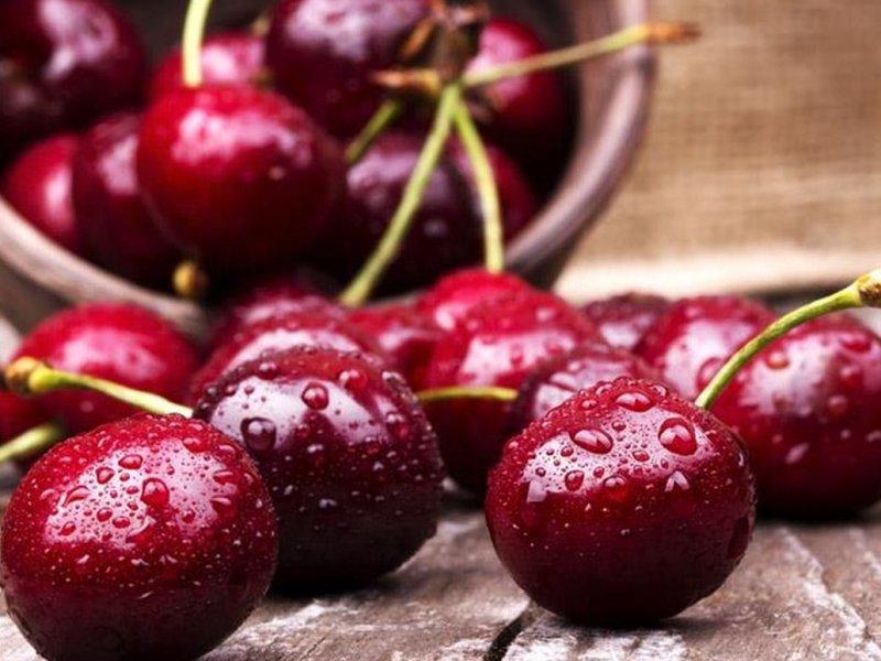 Вишня купить саженцы из питомника в Миассе